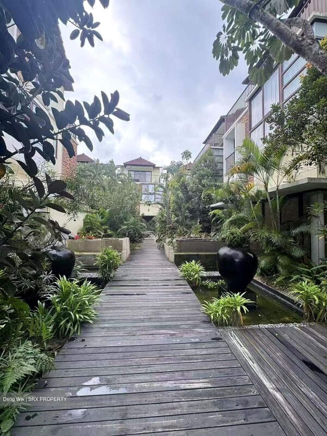 Lornie Road (D11), Terrace #604990761